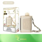 RAZ RYL Classic 35000 Puffs Disposable Vape - Image 18