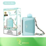 RAZ RYL Classic 35000 Puffs Disposable Vape - Image 17